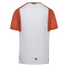Koszulka męska DIADORA  SS T-SHIRT CLAY
