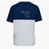 Koszulka damska DIADORA L.SS T-SHIRT LOGO 