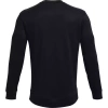Bluza męska Under Armour TERRY CREW