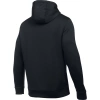 Bluza męska UA AF ICON SOLID PO HOOD  