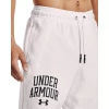 Spodenki krótkie męskie Under Armour RIVAL TERRY COLLEGIATE SHORTS