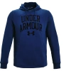 Bluza męska Under Armour RIVAL TERRY COLLEGIATE HD