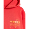 Bluza DIADORA HOODIE MANIFESTO