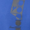 Bluza męska DIADORA HOODIE ICON