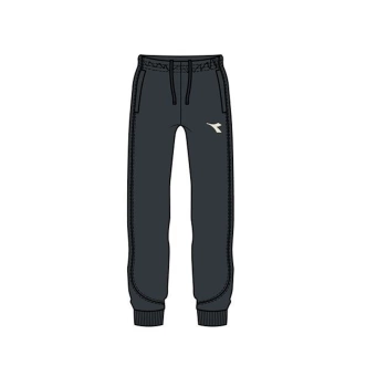 Spodnie dresowe męskie DIADORA PANTS ESS. SPORTS III CH FT