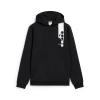 Bluza męska DIADORA HOODIE ICON