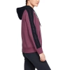 Bluza damska Under Armour RIVAL FLEECE GRAPHIC HOODIE NOVELTY 