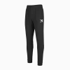 Spodnie dresowe męskie DIADORA PANTS CUFF CORE