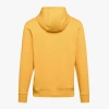 Bluza męska DIADORA HOODIE SPECTRA 