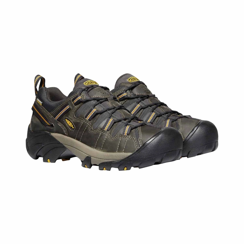 Buty trekkingowe męskie KEEN TARGHEE II WP  