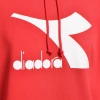 Bluza męska DIADORA HOODIE SWEAT LOGO CHROMIA 
