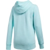 Bluza damska Under Armour FAVORITE FLEECE PO 