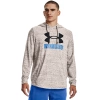 Bluza męska Under Armour Rival Terry Logo Hoodie