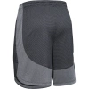 Spodenki męskie Knit Training Shorts 