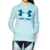 Bluza damska Under Armour FAVORITE FLEECE PO 