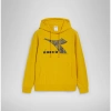 Bluza męska DIADORA HOODIE BIG LOGO