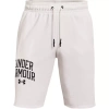 Spodenki krótkie męskie Under Armour RIVAL TERRY COLLEGIATE SHORTS