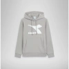 Bluza męska DIADORA HOODIE BIG LOGO