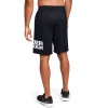 Spodenki męskie UA Tech Wordmark Shorts 