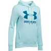 Bluza damska Under Armour FAVORITE FLEECE PO 