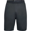 Spodenki krótkie męskie Under Armour RAID 2.0 SHORT 