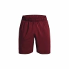 Spodenki krótkie męskie Under Armour Woven Graphic Shorts