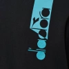 Bluza męska DIADORA HOODIE ICON