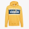 Bluza męska DIADORA HOODIE SPECTRA 