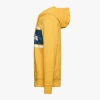 Bluza męska DIADORA HOODIE SPECTRA 