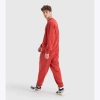 Bluza DIADORA SWEATSHIRT CREW MANIFESTO