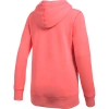 Bluza damska Under Armour FAVORITE FLEECE PO 