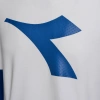 Bluza męska DIADORA HD SWEAT LOGO 