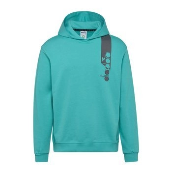 Bluza męska DIADORA HOODIE ICON