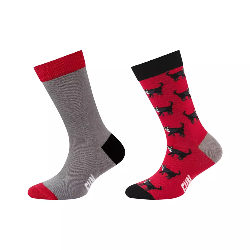 Skarpety dziecięce FUNSOCKS KIDS MOTIFS SOCKS 2P